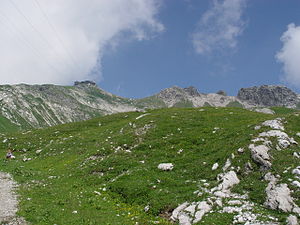 Nebelhorn