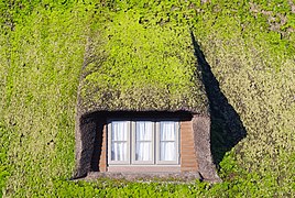 Buhardilla en un techo de paja en Norderstapel