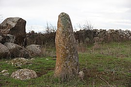 Borore - Menhir di Busola (02).JPG