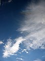 Cirrostratus causing partial halo effect and Cirrocumulus