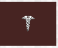 Flag of the Surgeon General of the United States Army