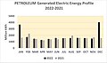 PETROLEUM Generated Electric Energy Profile 2022–2021