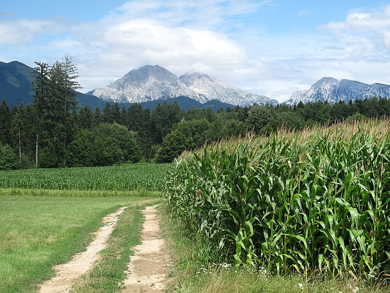 File:Tussen Kranj en Naklo, panorama foto2 2011-07-20 14.28.jpg