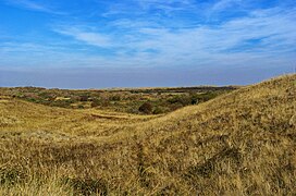 Texel - De Muy - Nature Reserve 50.jpg