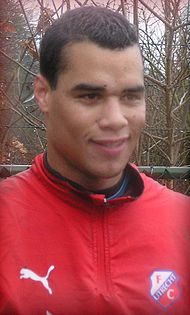 Michel Vorm