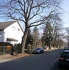 Rosenthaler Nordseite der Nordendstraße von Birkenallee nach Osten