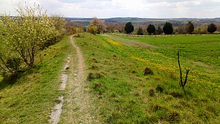 Oppidum de La Chaussée-Tirancourt, chemin sur la levée de terre 04.jpg