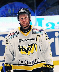 David Petrasek AIK-HV71 2014-01-02.jpg