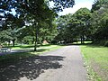 Victoria Avenue through the park