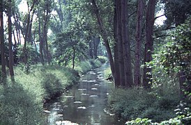 Oberhalb von Rheingönheim