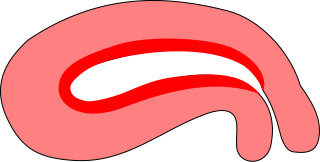 Uterus Thickness1.svg