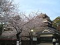 Kumamoto Castle