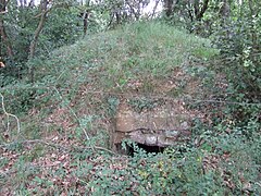 Capdamunt de la Poua de la Torrassa dels Moros