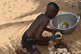 Un enfant coupant un coco frais à la plage de Grand Popo au Bénin 02.jpg