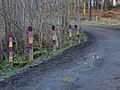 Thumbnail for File:Multi coloured fence posts - geograph.org.uk - 4343596.jpg