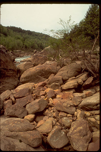 File:Obed Wild and Scenic River OBRI4329.jpg