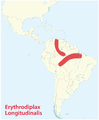 Erythrodiplax Longitudinalis