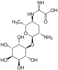 Strukturformel von Kasugamycin