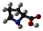 ▵ Molecuulmodel van L-proline