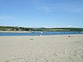 The beach in mid-summer