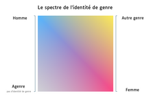 Représentation de l'identité de genre sous la forme d'un spectre carré. Les personnes hommes et femmes sont représentées dans deux coins opposés. L'absence d'identité de genre occupe le coin en bas à gauche. Le coin en haut à droite représentent les identités de genre qui ne sont pas sur le spectre homme-femme.