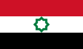 Vlag van Oost-Jeruzalem (Palestina, geclaimd)