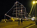 The Tall Ships' Races, 2007