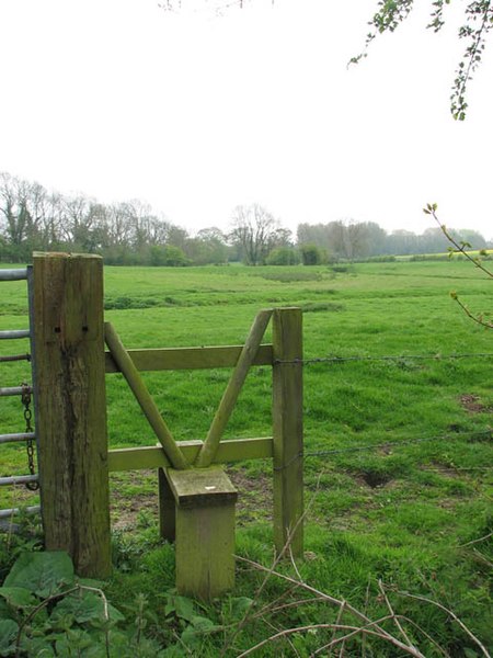 File:Pasture adjoining Old Hall Farm - geograph.org.uk - 1276039.jpg