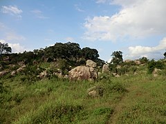 Polonnaruwa, Sri Lanka - panoramio (59).jpg