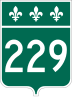 Route 229 marker