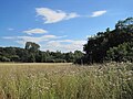 Totteridge Fields Natur erreserba.