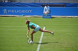 Aegon International 2016 (Day 2) DSC 1648 (27780164765).jpg