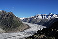 Aletschgletscher im August 2008 vom Bettmerhorn