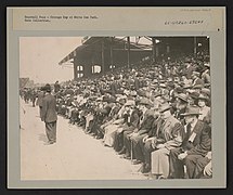 Baseball Fans - Chicago Day at White Sox Park LCCN2001704385.jpg