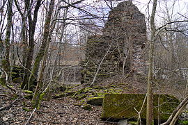 Des ruines de briques et de pierres recouverts de mousse sont éparpillés permis les arbres.