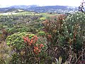 Alrededores de la Laguna de Guatavita.