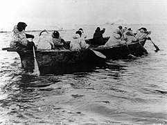 Kingikmiut Eskimos paddling an umiak, a boat made of animal skins, during a whale hunt, Bering Strait, Cape Prince of Wales (AL+CA 2124).jpg