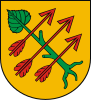 Coat of arms of Czempiń