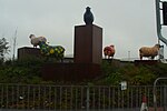 Thumbnail for File:Multi-coloured Sheep, Harlescott, Shrewsbury - geograph.org.uk - 1916062.jpg