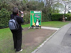 Picturing the kids, Belfast Zoo - geograph.org.uk - 1847871.jpg