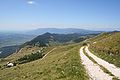 Blick vom Nanos-Gebirge auf den Birnbaumer Wald