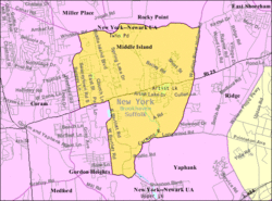 U.S. Census map