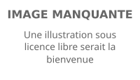 Image illustrative de l’article Ministre d'État (Guinée)