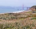 Baker Beach