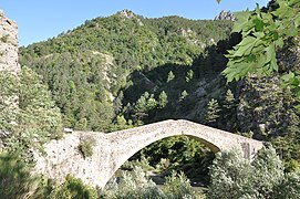 Pont de la Reine Jeanne.