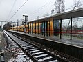 Buffel op het station