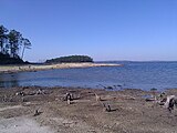 Beach of a large lake-like reservoir with much driftwood. A small island is visible in the water.