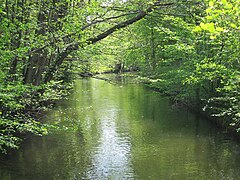 im Pasinger Stadtpark