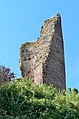 Ruine der Burg