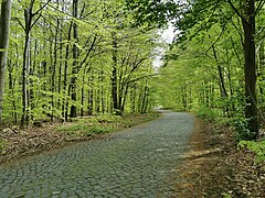 Bad Harzburg Baudenkmal ID-37692279 Wegepflasterung Im Waldwinkel.jpg